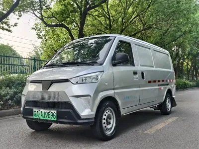 Wuling Wuling EV50