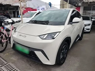 BYD Seagull