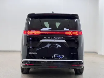 Denza Denza D9