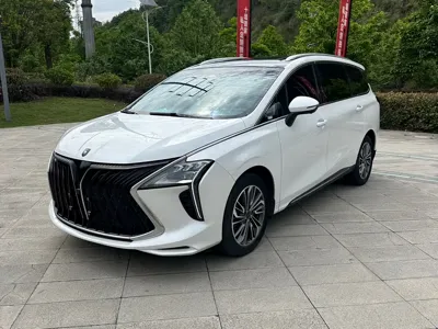 Fengxing Fengxing Yacht