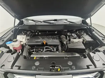 Haval Big Dog