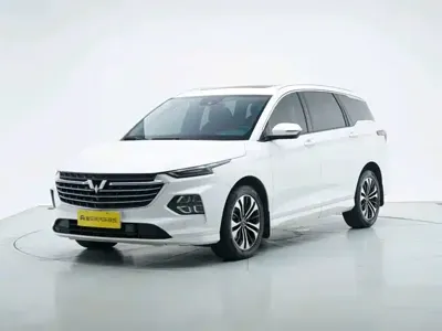 Wuling Victory