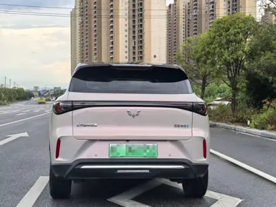 Wuling 缤果S