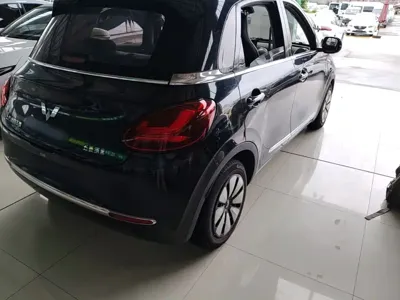 Wuling Bingo