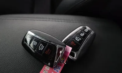 Hyundai Maxcruz