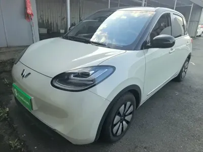Wuling Bingo