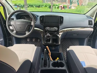 Forthing Lingzhi PLUS