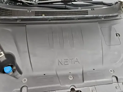 NETA Neta V