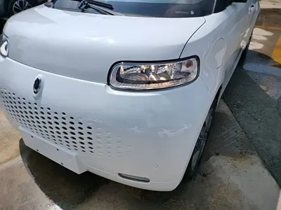 ORA Ora White Cat