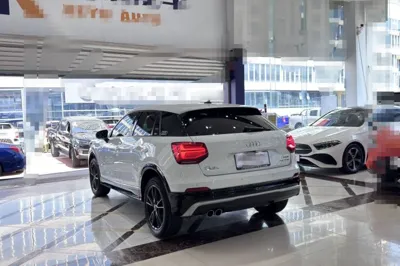 Audi Q2L