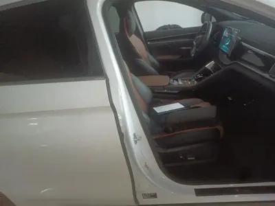 BYD PLUS