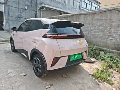 BYD Seagull