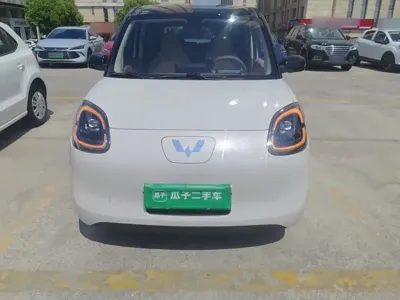 Wuling MINIEV