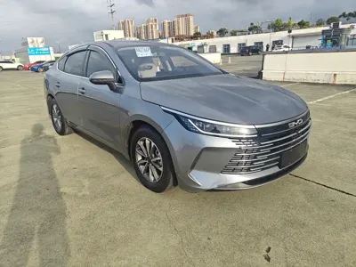 BYD Destroyer 05