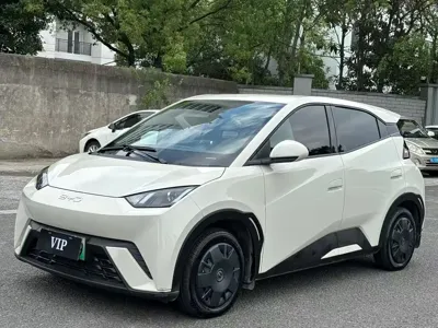 BYD Seagull