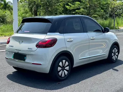 Wuling Bingo