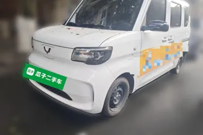 Wuling Zhiguang New Energy