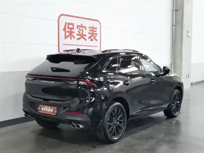 Fengxing Fengxing T5 EVO