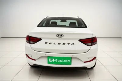 Hyundai Celesta