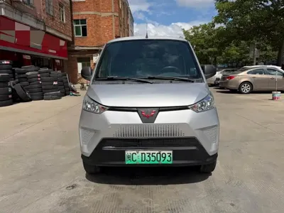 Wuling Wuling EV50