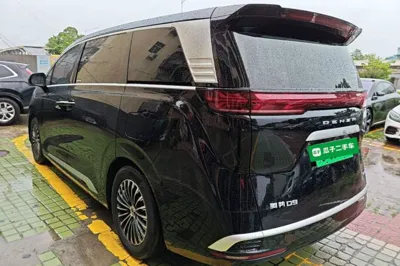 Denza D9