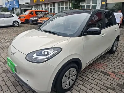 Wuling Bingo