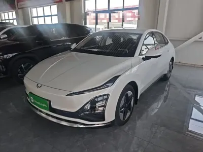 Wuling 五菱E5