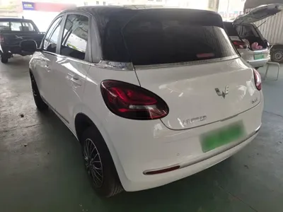 Wuling Bingo