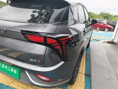 NETA Neta V
