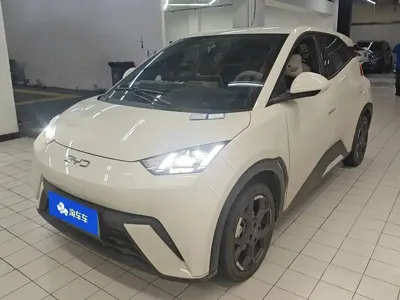 BYD Seagull
