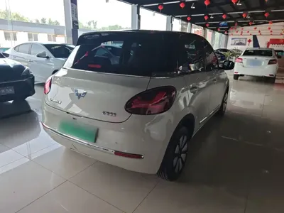 Wuling Bingo