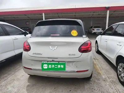 Wuling Bingo