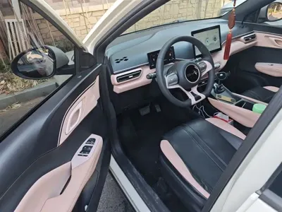 BYD Seagull