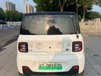 Galaxy Panda