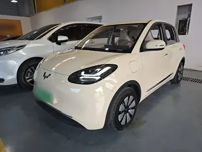 Wuling Bingo