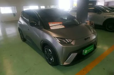 BYD Seagull