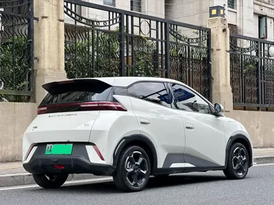 BYD Seagull