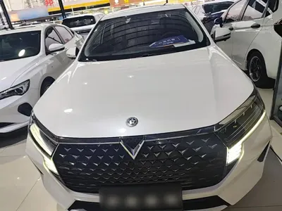 Venucia D60