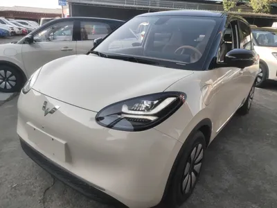 Wuling Bingo