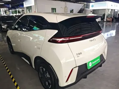 BYD Seagull