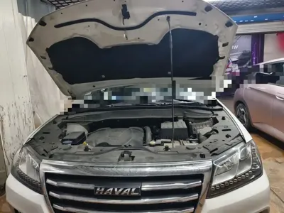 Haval H2