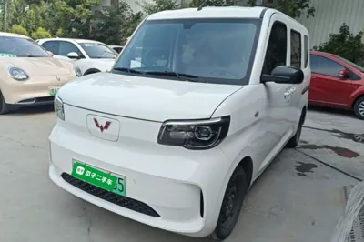 Wuling Zhiguang New Energy
