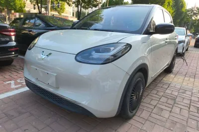 Wuling Bingo