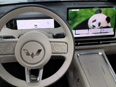 Wuling 缤果S