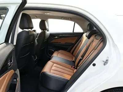 BYD Qin NEV