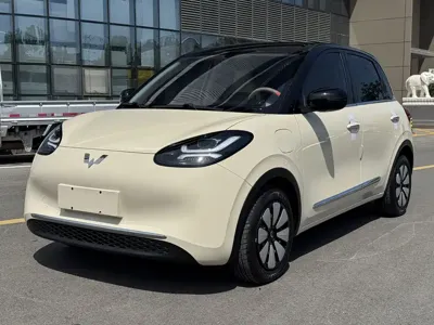 Wuling Bingo