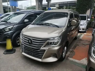 Fengxing Lingzhi