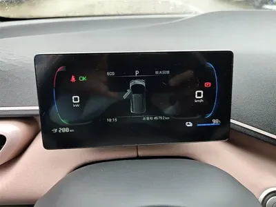 BYD Seagull