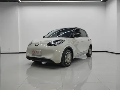 Wuling Bingo