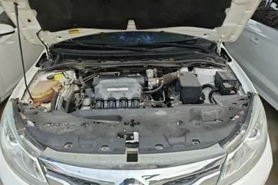BYD Surui